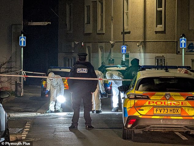 Forensics officers used torches to search the street as they worked late into the night following the discovery of her body