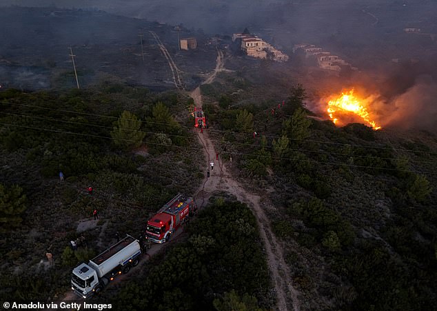Smoke rising from burning trees while air and land intervention continues against the fire that broke out in the forest area in Cesme district of Izmir