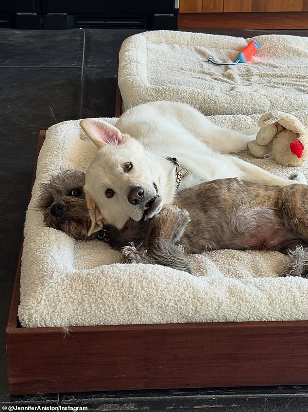 Lord Chesterfield with his best friend Clyde