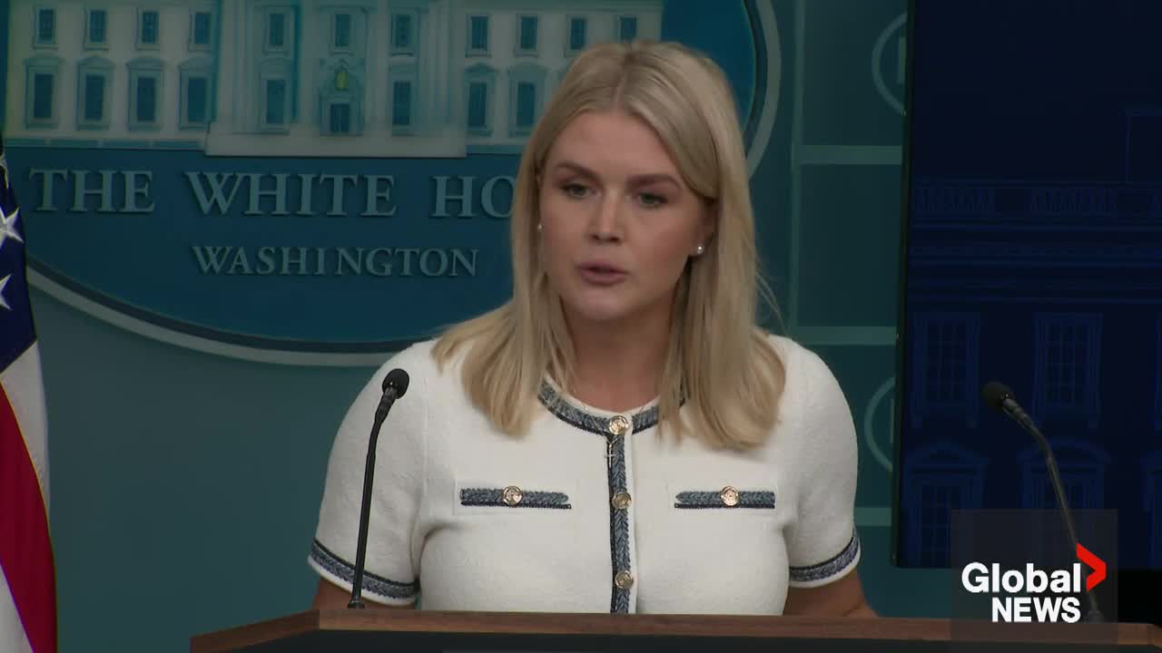 Click to play video: 'Trump ‘would not recommend’ special prosecutor in Epstein case: White House'