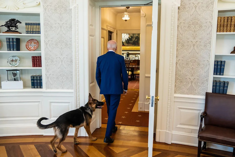 A man in a suit walks through a doorway, followed closely by a German Shepherd, in a room lined with bookshelves