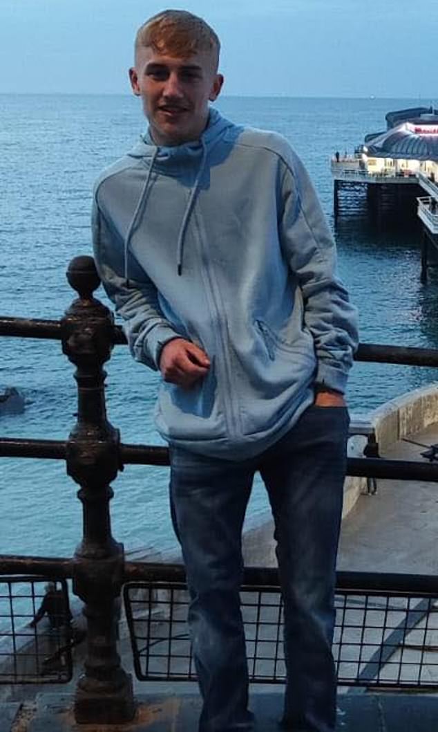 Noah Smedley, pictured, died at the scene despite the efforts of passers by and paramedics