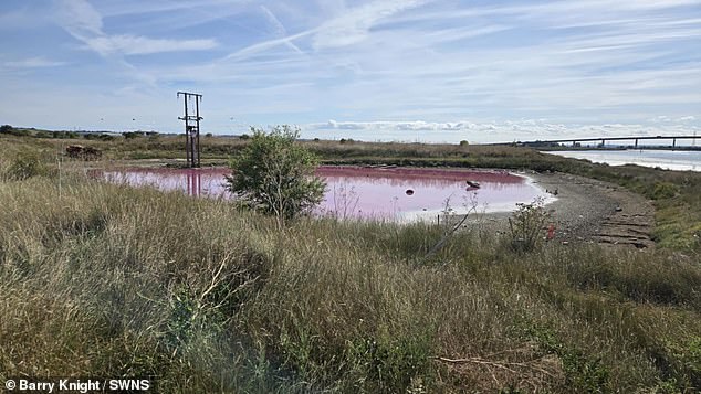 Incredible images taken by Mr Knight show the 65-metre long lake sporting a bright pink colour while a deep blue can also be seen around the rim. Mr Knight had initially assumed that the colour had been 'caused by pollution', bacteria or even a chemical spill