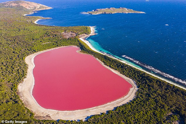 Pink lakes are natural phenomena that draw visitors from far and wide, and provide livelihoods to local people. The vibrant Lake Hillier (pictured), on Middle Island in the Recherche Archipelago, Western Australia, has entranced scientists for years
