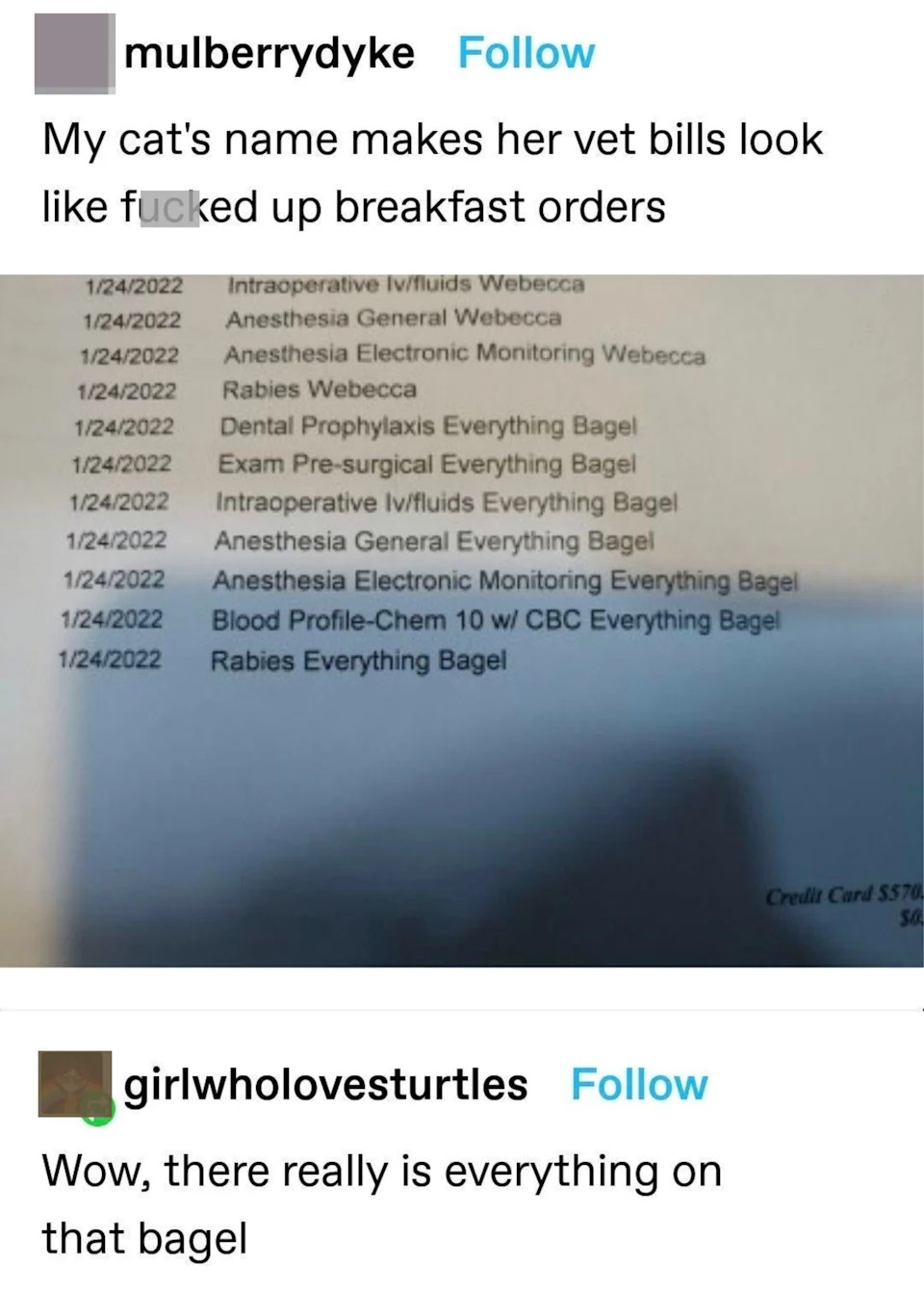Printout of tests, including "Dental Prophylaxis Everything Bagel," "Exam Presurgical Everything Bagel," "Anesthesia General Everything Bagel," "Rabies Everything Bagel," w/caption: "My cat's name makes her vet bills look like fucked-up breakfast orders"