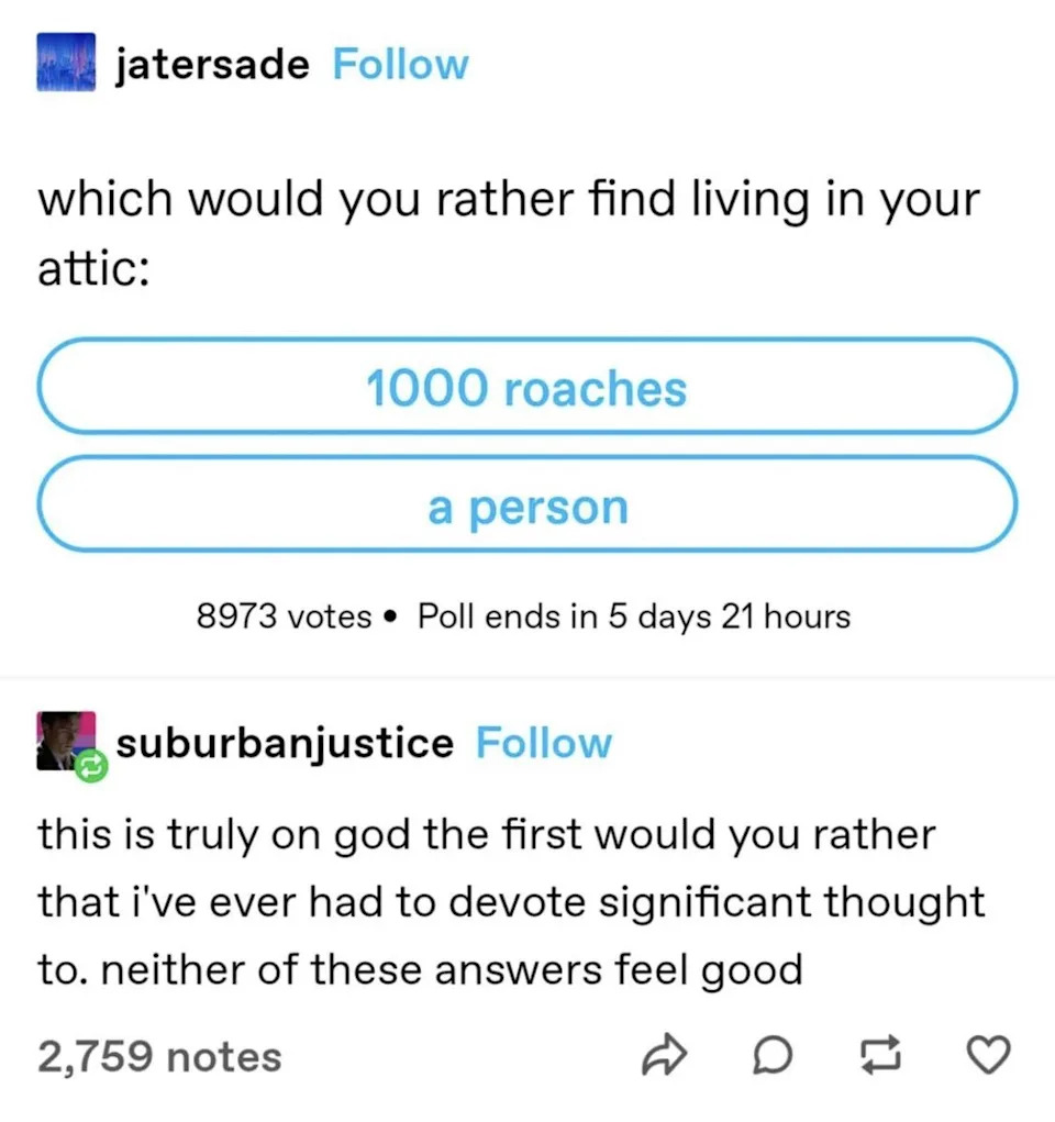 someone asks would you rather 1000 roaches or a person be in your attack and someone responds this is the first time i've had to devote lots of time to a would you rather