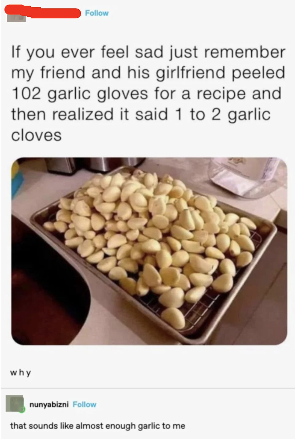 "If you ever feel said, just remember my friend and his girlfriend peeled 102 garlic cloves for a recipe and then realized it said 1 to 2 garlic cloves," with a rack of cloves shown, with response: "that sounds like almost enough garlic to me""I li