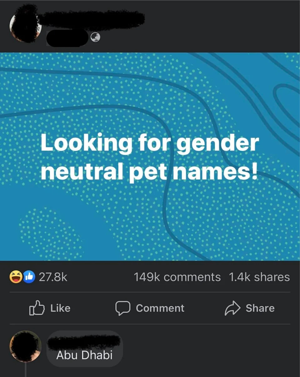 "Looking for gender-neutral pet names"; response: Abu Dhabi
