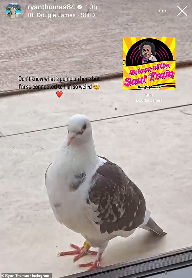 Now, Ryan has claimed Dougie has returned in the form of a bird, revealing the feathered friend has paid several visits to them in recent days