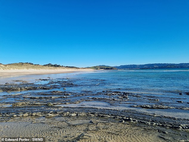 The Porter family then upped sticks after a year of planning and made the move 11,500 miles away to Warkworth in North Island, despite never visiting the small village
