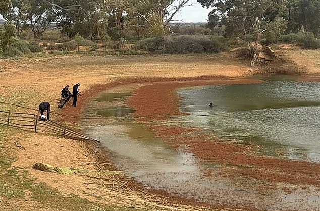 The search continues for the four-year-old who was last seen at his home near Yunta