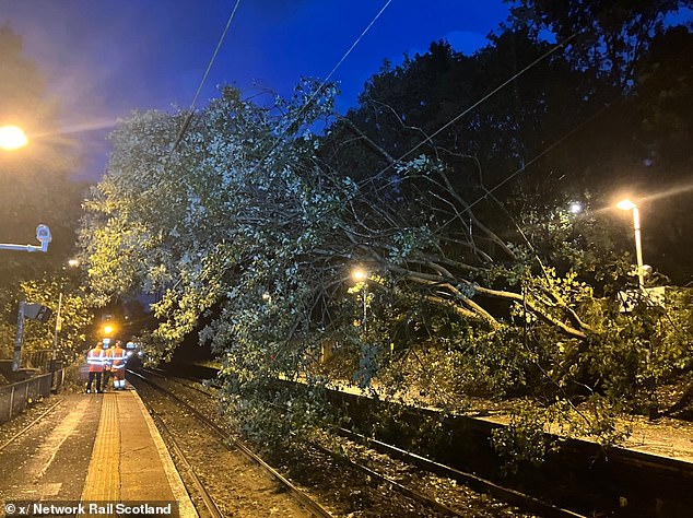 The mammoth gusts of wind have even seen multiple branches falling onto Scotland's rail tracks, including a 'huge tree' which came down onto the overhead lines in Drumchapel, according to Network Rail Scotland