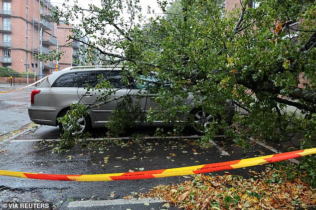 Storm Amy has begun reaching northern Europe, with a large tree seen falling onto a parked car in Gothenburg, Sweden, on Saturday morning