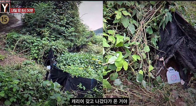 Her body was found abandoned in a suitcase in Muju, North Jeolla Province