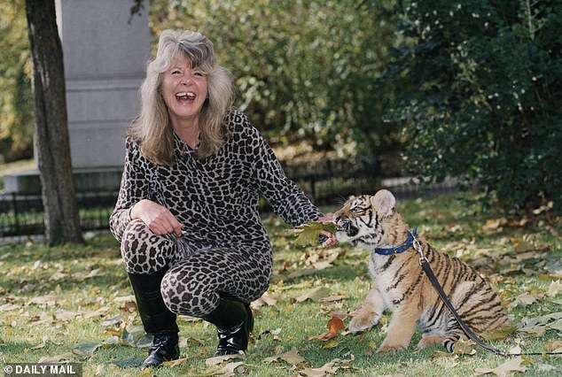 Dame Jilly Cooper wears a figure hugging leopard print sweater top as she poses with a tiger cup for a charity photo shoot at the Savoy Hotel, 1992