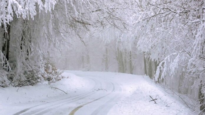 Winter storm warning issued in California as up to 18 Winter storm warning issued in California as up to 18 inches of snow expected in Sierra, Nevada and Mono counties