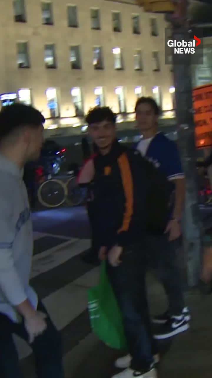 Click to play video: 'Blue Jays fan so excited he forgets who Toronto beat to advance to World Series'