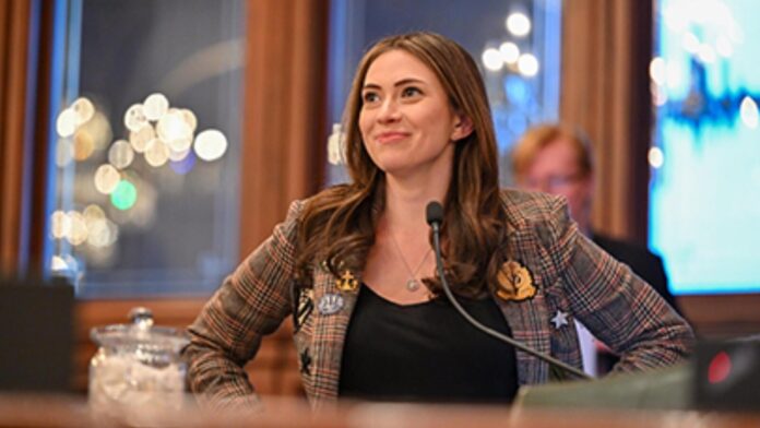 Who is Margaret Croke and did the Illinois State rep mail out ICE car details? Controversy explained