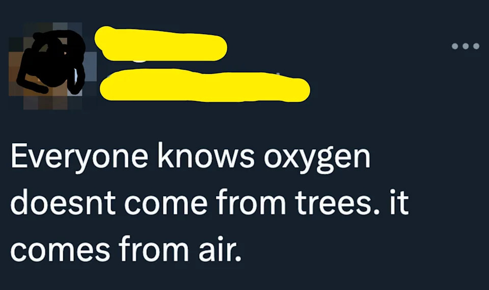 Tweet by Big Jim says, "Everyone knows oxygen doesn't come from trees. it comes from air."