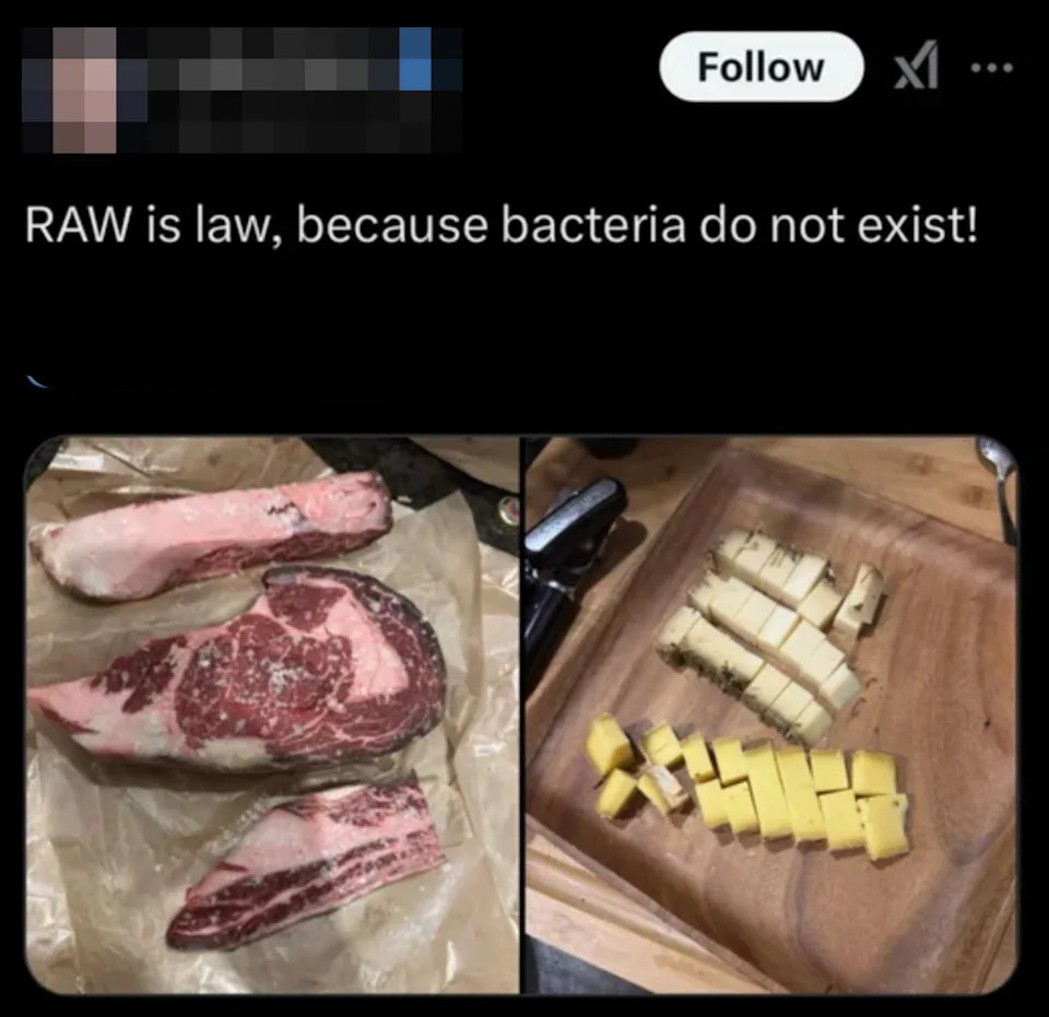 Tweet with a photo of raw meat and cubed cheese, text humorously suggests bacteria don't exist