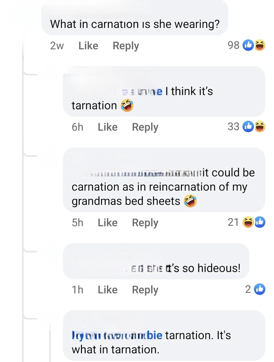 Comments discuss clothing, with playful references to "tarnation" and "carnation," and mention it resembles "grandma's bed sheets."