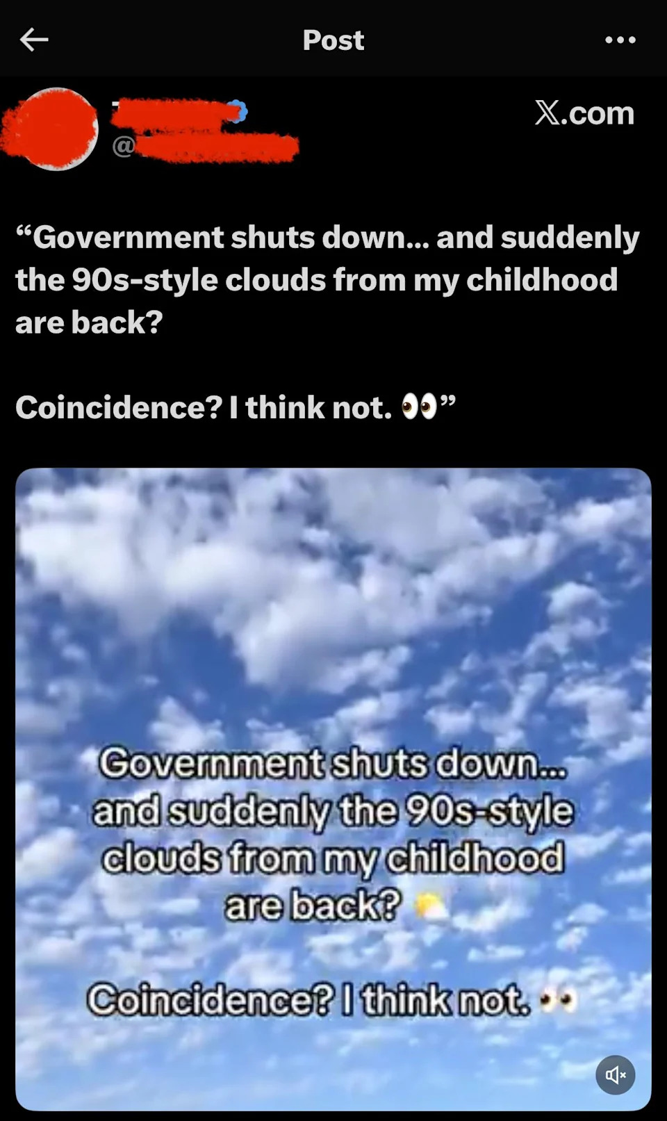 Text reading, "Government shuts down... and suddenly the 90s-style clouds from my childhood are back? Coincidence? I think not." with cloud background