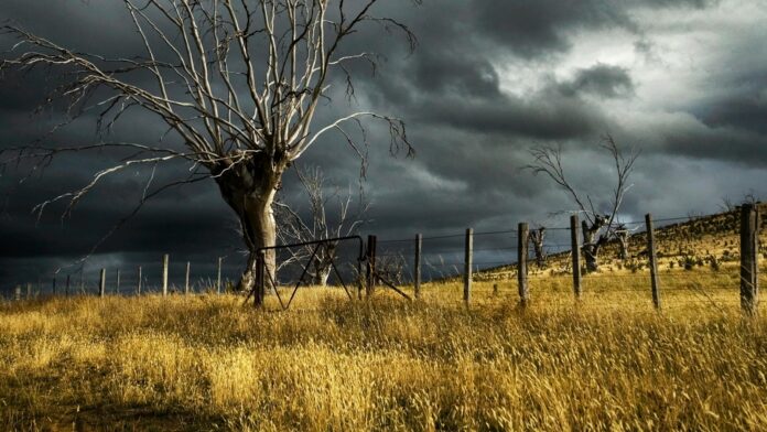 Seattle power outage: Thousands left in dark as strong Pacific Seattle power outage: Thousands left in dark as strong Pacific winds sweep through Washington coastline