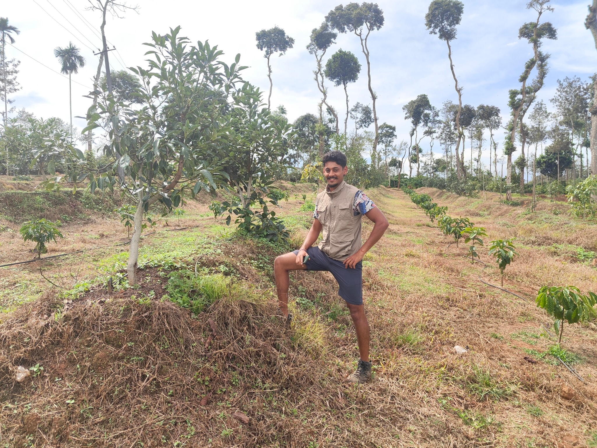 Akshath Muthanna, a third generation coffee grower from south Coorg, has diverted five acres from coffee to avocado, hoping for higher returns. Akshath Muthanna, a third generation coffee grower from south Coorg, has diverted five acres from coffee to avocado, hoping for higher returns.