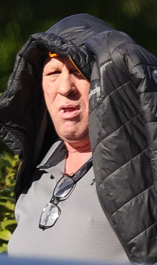 Mark Molloy