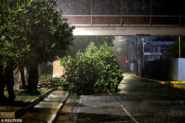 A fallen tree lies on a street while it rains, as Hurricane Melissa approaches, in Kingston, Jamaica, October 27, 2025