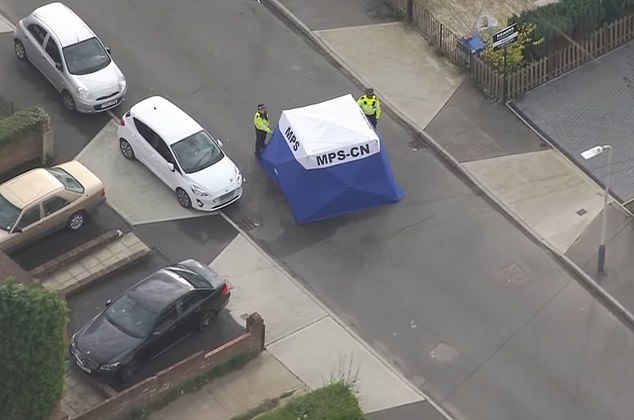 Police at the scene after a 49-year-old dog walker died in a triple stabbing in Uxbridge