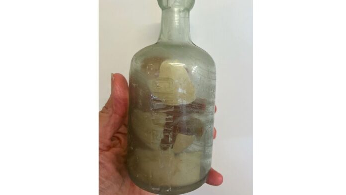 World War I soldiers' messages found in bottle on Australian World War I soldiers' messages found in bottle on Australian beach over 100 years later