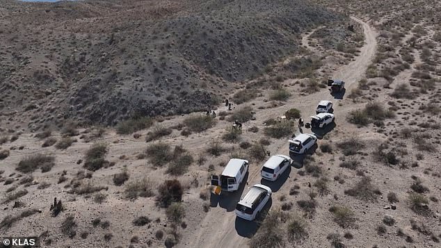 No traceable information could be salvaged from the 'cremains' - a term an official at the Bureau of Land Management used to refer to the piles