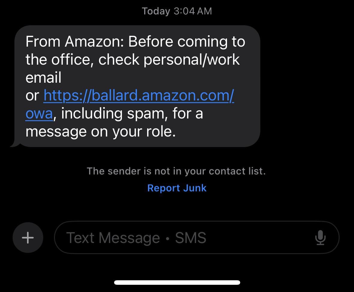 A text purportedly from Amazon. (Screengrab) A text purportedly from Amazon. (Screengrab)