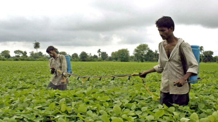 Govt plans digital data push to target farm subsidies, rationalize Govt plans digital data push to target farm subsidies, rationalize fertilizer use