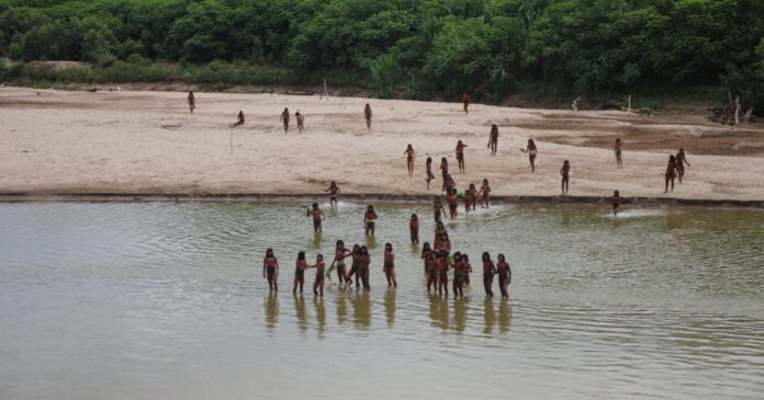 Half of uncontacted Indigenous tribes "could be wiped out" in Half of uncontacted Indigenous tribes "could be wiped out" in 10 years, report says. Here's what to know.