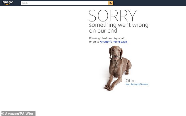 The outage has also affected Amazon services including Amazon.com, Amazon Alexa, Ring and Amazon Prime Video. Pictured, Amazon.com on Monday