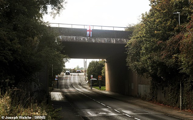 Last month, a Sikh woman was raped in grassland on Tame Road, Oldbury (pictured), in an incident also treated as racially aggravated by police