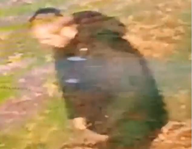 Manhunt launched after woman in her 20s is 'raped by West Midlands Police has launched a manhunt for a suspected rapist, who is described as white, aged in his 30s, with short hair. The man (pictured on CCTV) was wearing dark clothing at the time of the alleged attack, which happened in Walsall