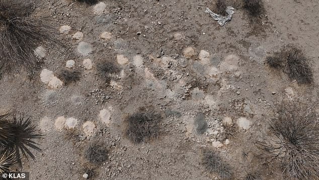 Mystery as more than 300 piles of human remains discovered 315 piles of cremated human remains were found near the remote town of Searchlight, about an hour outside of Las Vegas , on July 28
