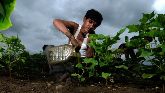 PM Kisan Samman Nidhi Yojana: Application process, eligibility, benefits and PM Kisan Samman Nidhi Yojana: Full details