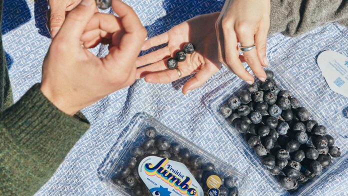 Ray Dalio, JPMorgan top billion-dollar berry farmer Fruitist's new deal Ray Dalio, JPMorgan top billion-dollar berry farmer Fruitist's new deal