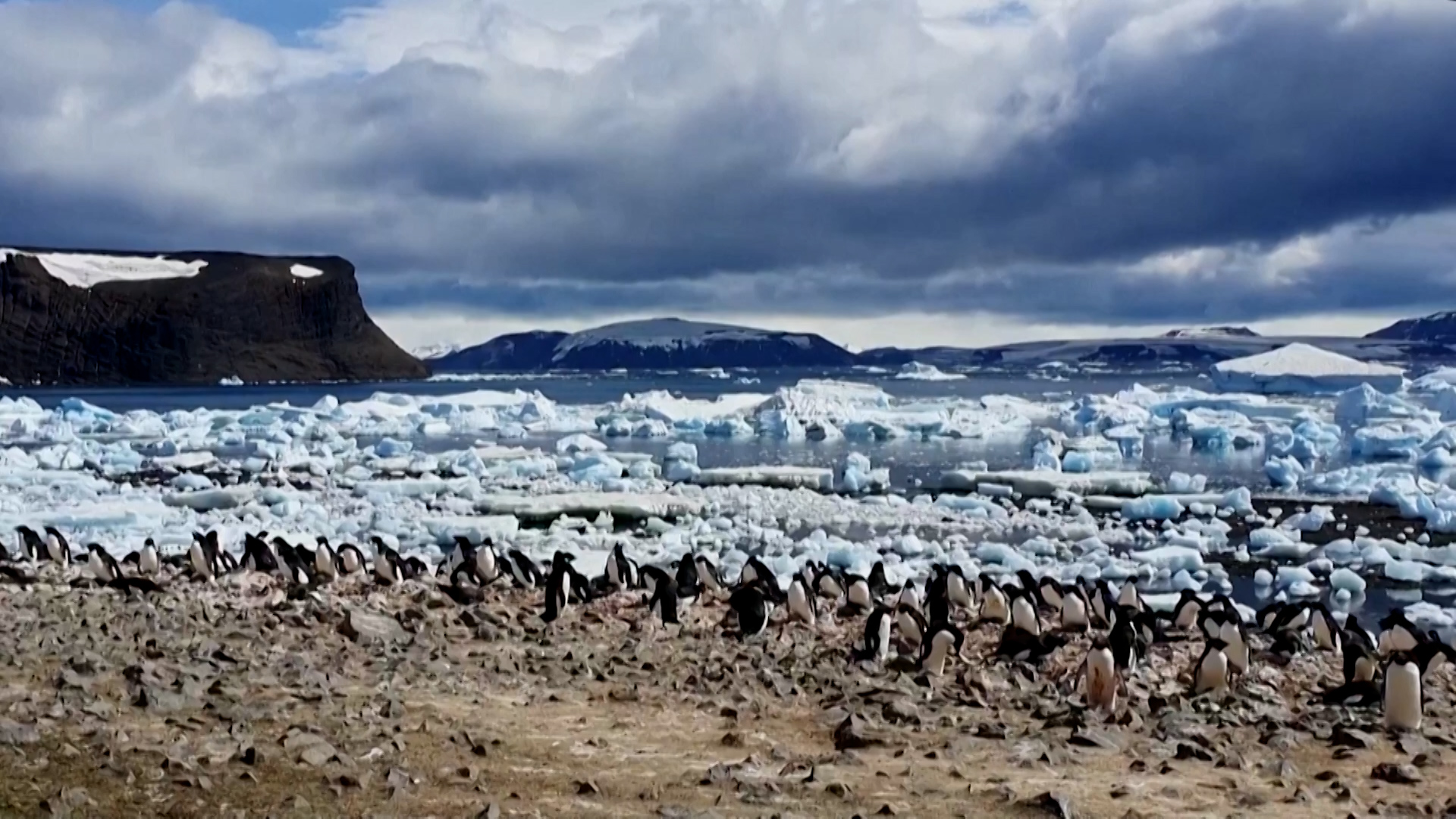 Click to play video: 'Rapid climate shifts in Antarctica could have major global impacts, expert warns'