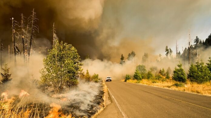 Laramie fire: Wildfire erupts in Wyoming's Albany County- Check map and evacuation details