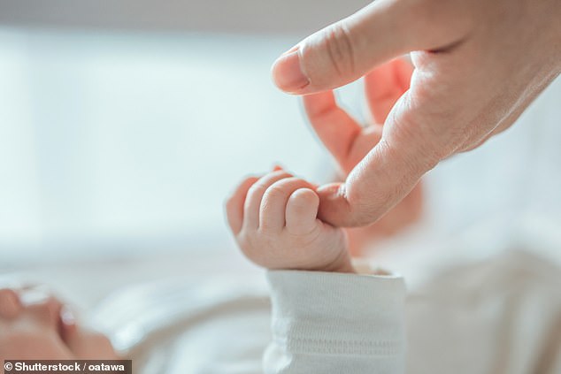 The case against Ms Sussex, set to begin next year, will be fiercely contested and is expected to test the science and theory of gender transitions (stock)