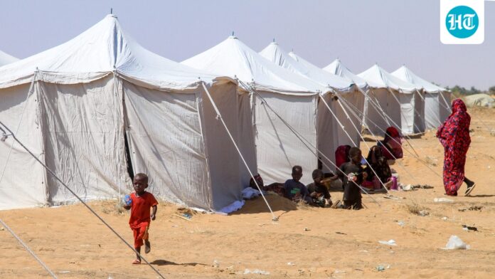 ‘Blood oozing from corpses’: Sudan's El-Fasher escapees recall horror ‘Blood oozing from corpses’: Sudan's El-Fasher escapees recall horror