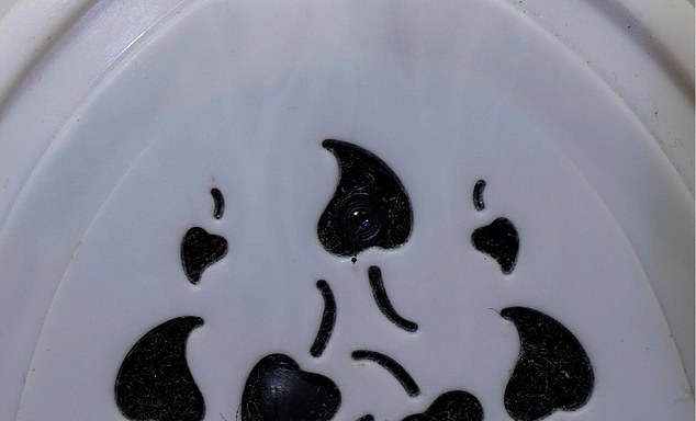 He secreted hidden cameras in household products such as air fresheners, used to spy on women in his bathroom