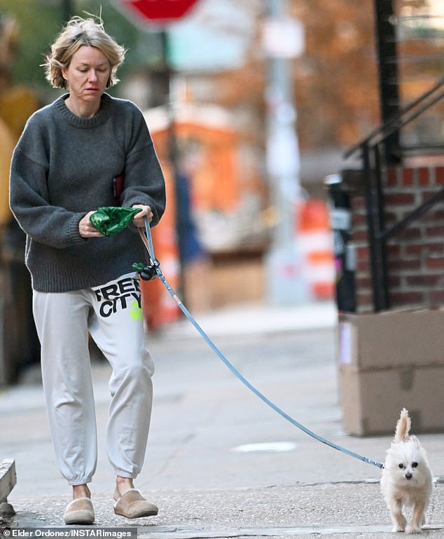 Watts, who shares a famously amicable co-parenting relationship with Schreiber, previously revealed that Sasha and Kai have developed an interest in acting