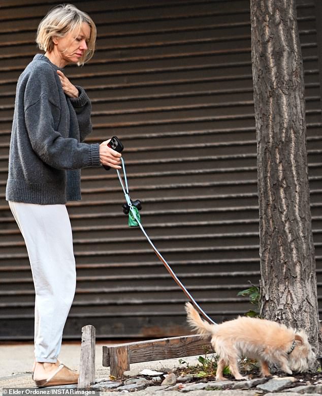 Her latest sighting came as Schreiber broke his silence after being rushed to the hospital in New York City on Sunday evening