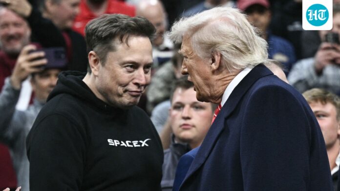 MAGA erupts at Trump's reaction on spotting Elon Musk at White House dinner, 'The boys are back in town' | Watch